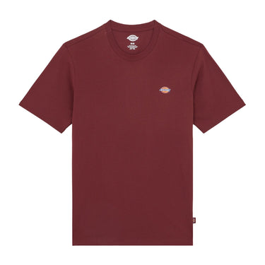 Dickies Mapleton T-Shirt - Andorra