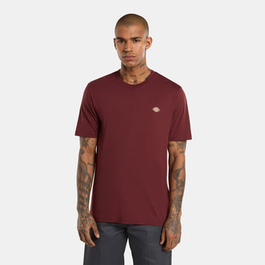 Dickies Mapleton T-Shirt - Andorra