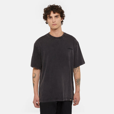 Dickies Plentywood T-Shirt Acid Wash - Black