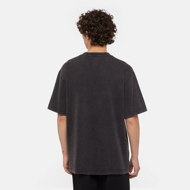Dickies Plentywood T-Shirt Acid Wash - Black
