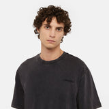 Dickies Plentywood T-Shirt Acid Wash - Black