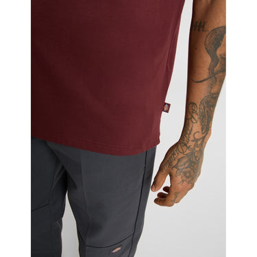 Dickies Mapleton T-Shirt - Andorra