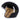 13 1/2 Skull Bucket Helmet - Gloss Black/Gold Wing - MOTOCCINO