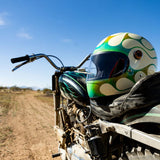 Biltwell Gringo S 06 Helmet - BORN FREE Limited Edition