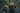 VALLON Moto Aviators Sunglasses - Black/Green - MOTOCCINO