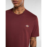 Dickies Mapleton T-Shirt - Andorra